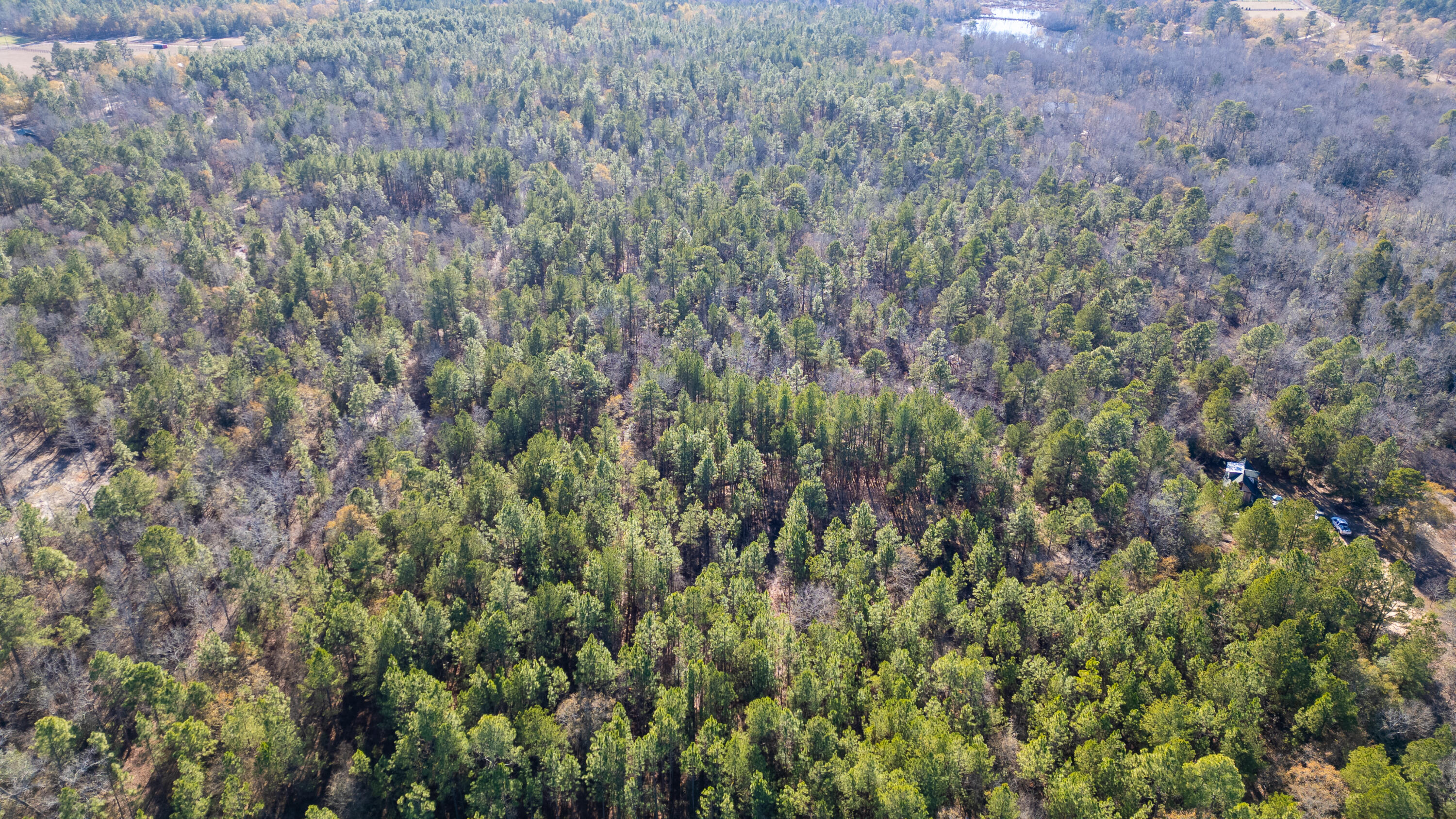1424 Hatchaway Bridge Road Aiken, SC 29801 - Photo 7 of 9 Gallery Image 7