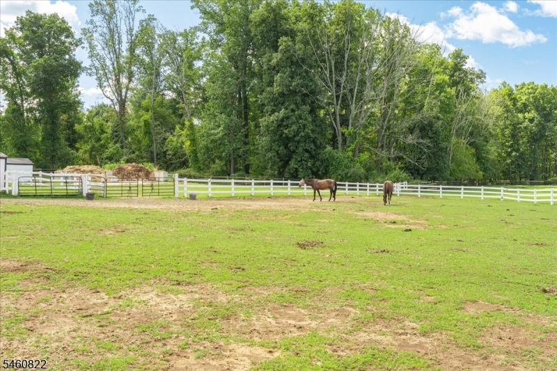 70 Sutton Road Califon, NJ 07830 - Photo 32 of 34 Gallery Image 32