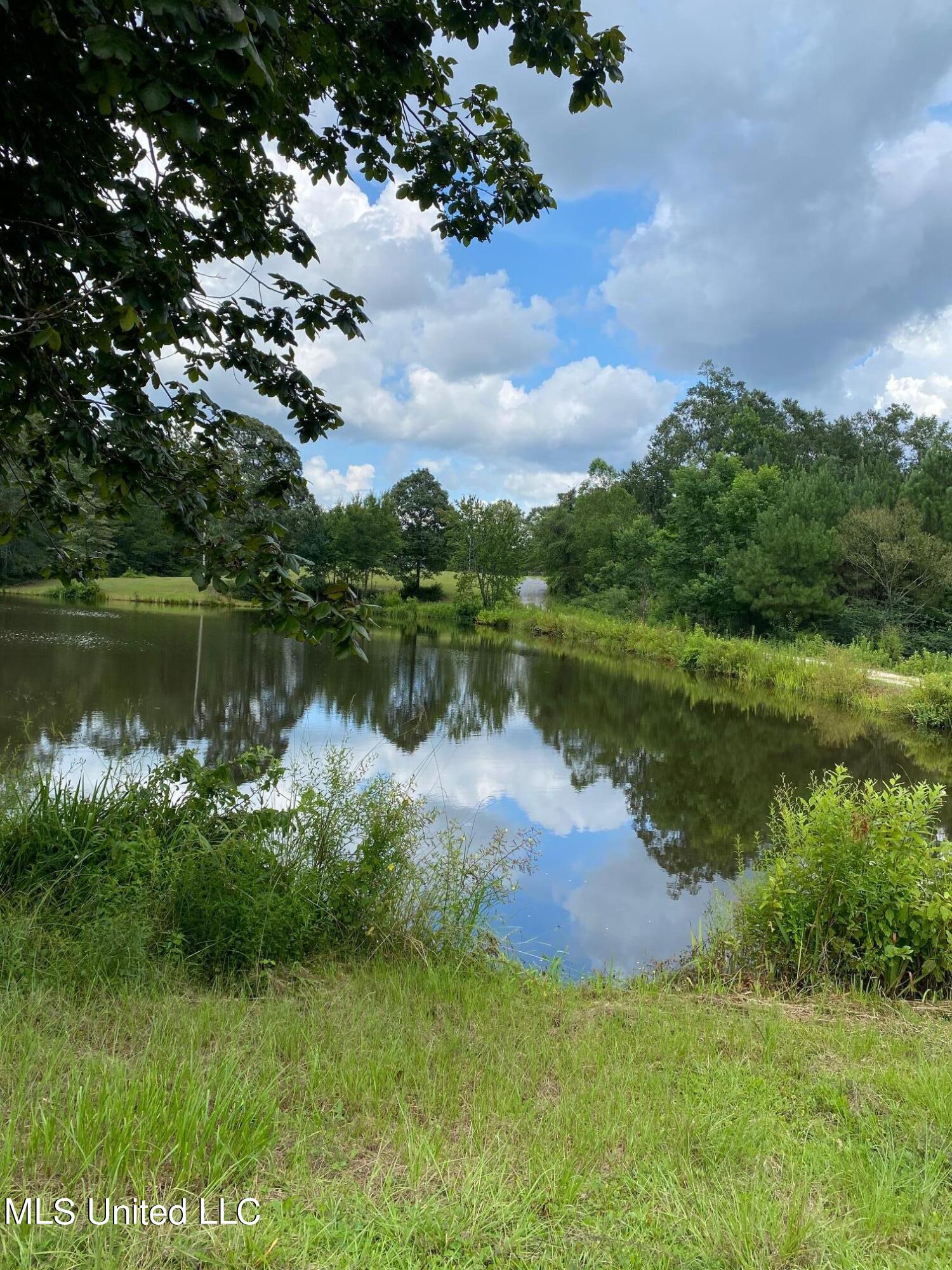 102 Hayden Dale Road Wiggins, MS 39577 - Photo 3 of 10 HAYDEN DALE-POND2