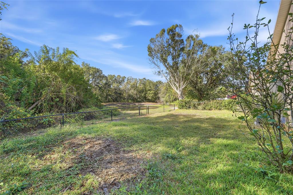 6935 Freeport Road Riverview, FL 33578 - Photo 44 of 51 a view of a field with trees in the background