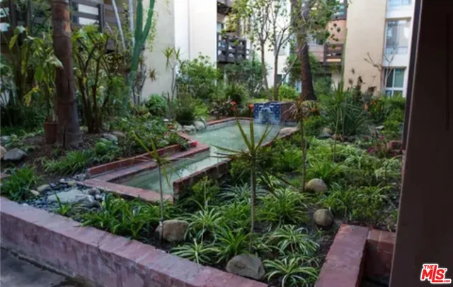 a view of a backyard with plants