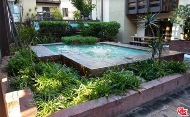 a view of a backyard with plants