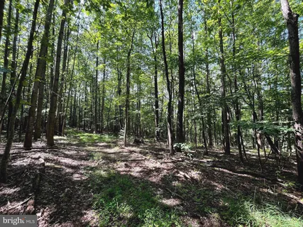 $399,000 | Pioneer Lane, Boyce, VA 22620