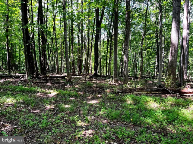 a view of outdoor space with green field and trees