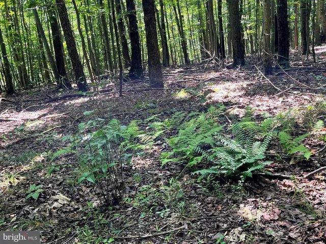 a view of outdoor space with lots of green space