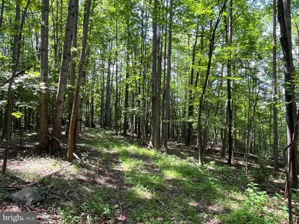 a view of outdoor space and green space