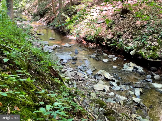 a view of outdoor space with trees