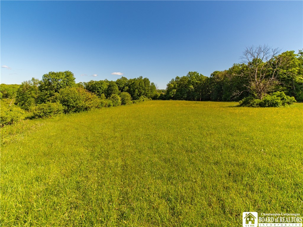3946 Camp Road Sherman, NY 14781 - Photo 30 of 48