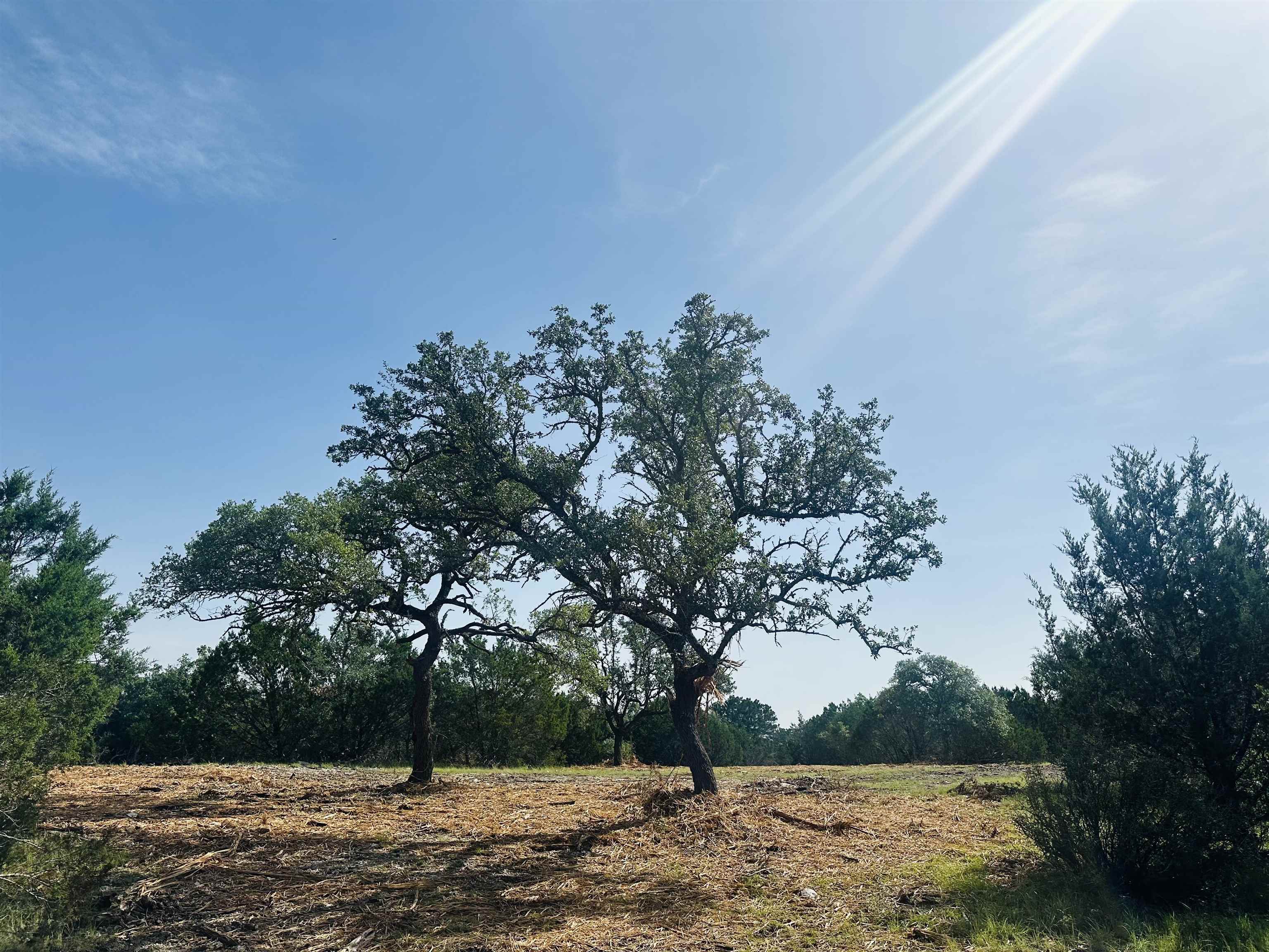 0 Tbd-b Burnet, TX 78611 - Photo 9 of 19