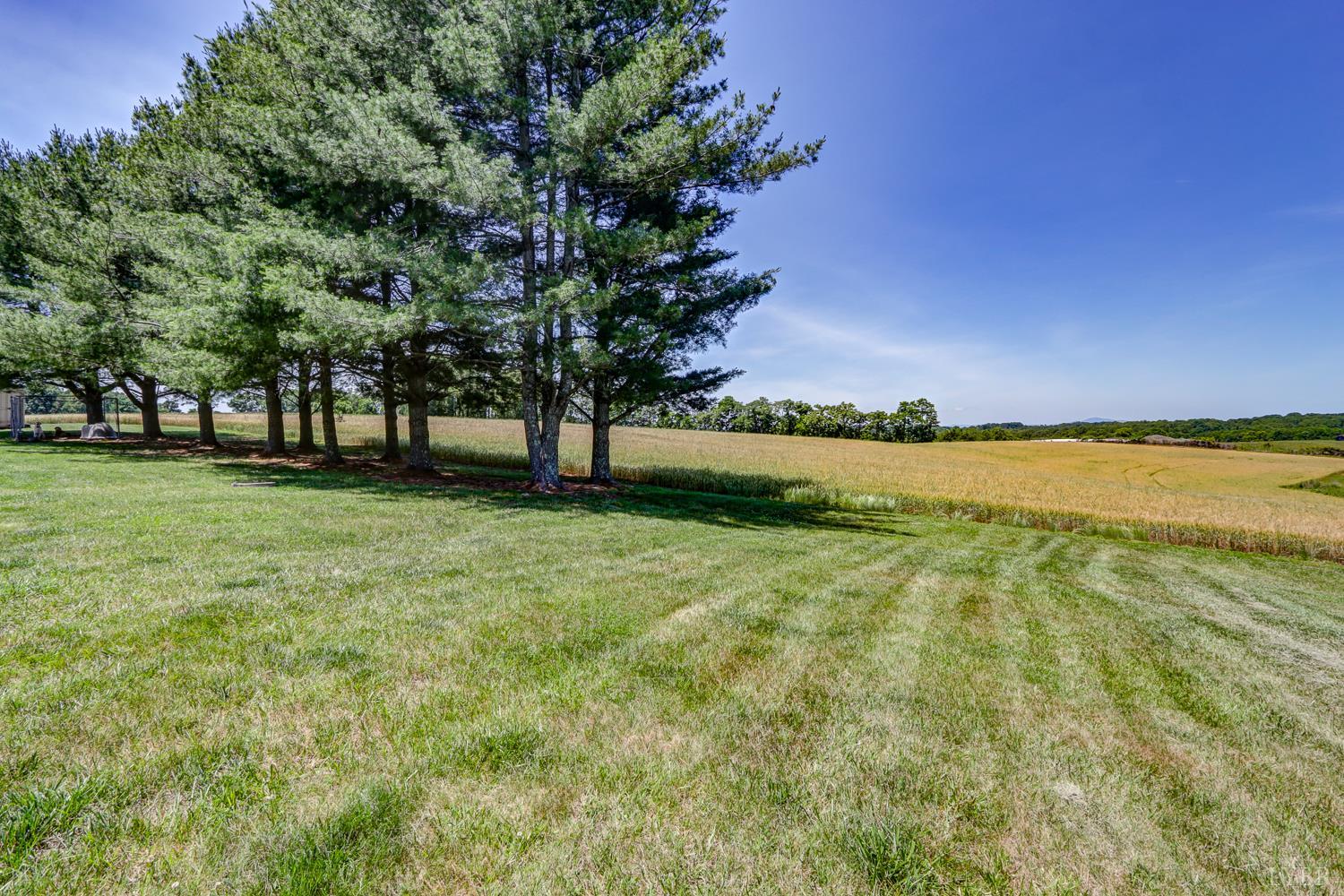 384 Novelty Road Union Hall, VA 24176 - Photo 5 of 49