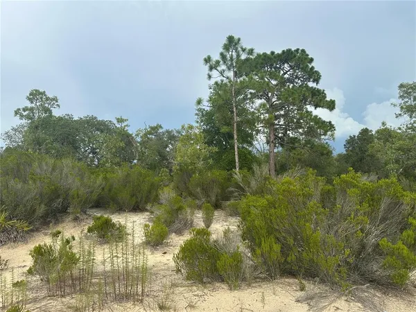 $17,999 | Northeast 85th Street, Bronson, FL 32621