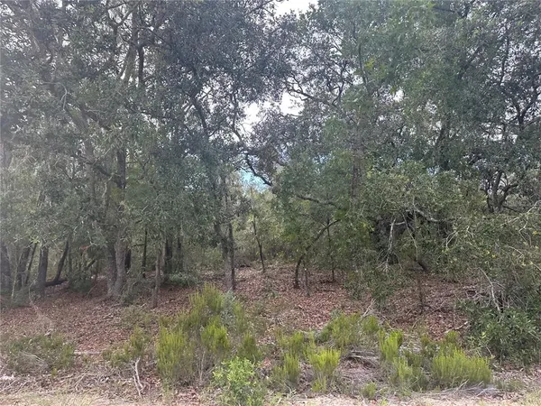 $17,999 | Northeast 85th Street, Bronson, FL 32621