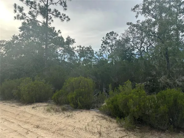 $17,999 | Northeast 85th Street, Bronson, FL 32621