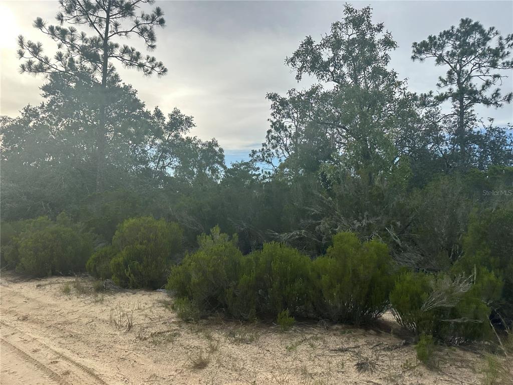 Northeast 85th Street Bronson, FL 32621 - Photo 13 of 16