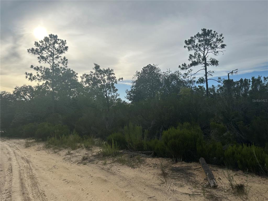 Northeast 85th Street Bronson, FL 32621 - Photo 14 of 16