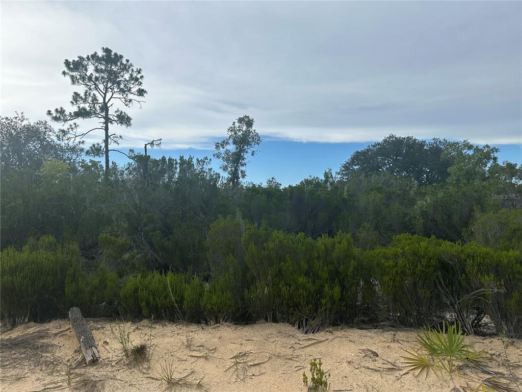 Northeast 85th Street Bronson, FL 32621 - Photo 15 of 16