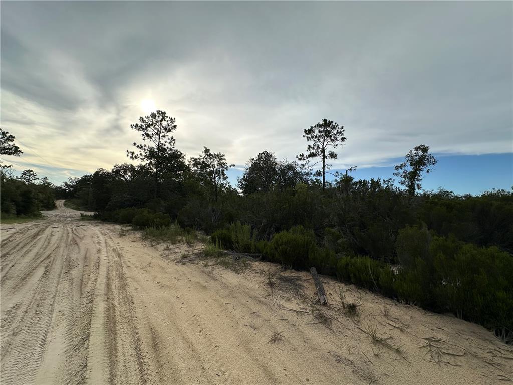 Northeast 85th Street Bronson, FL 32621 - Photo 16 of 16