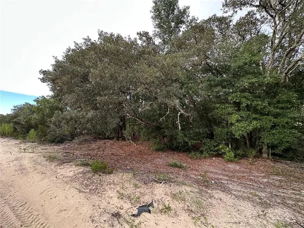 $17,999 | Northeast 85th Street, Bronson, FL 32621