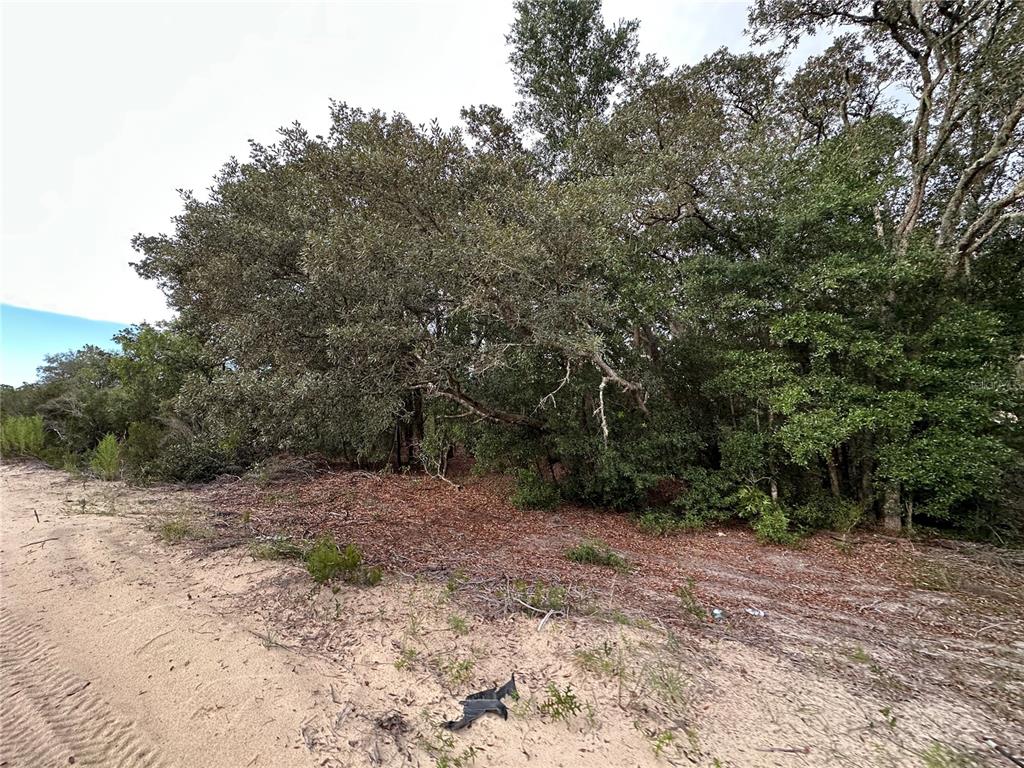 Northeast 85th Street Bronson, FL 32621 - Photo 4 of 16