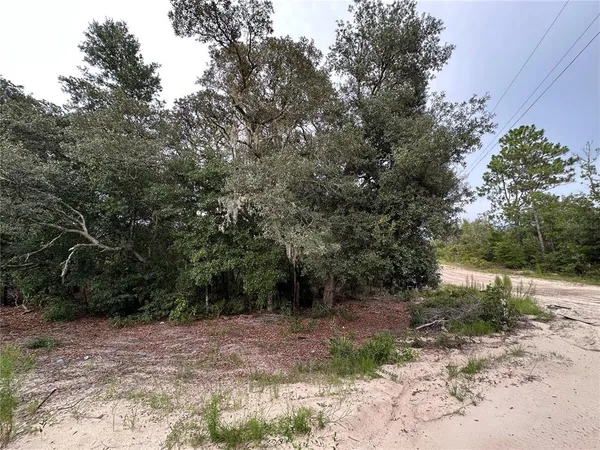 $17,999 | Northeast 85th Street, Bronson, FL 32621