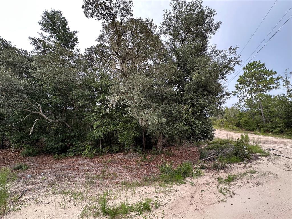 Northeast 85th Street Bronson, FL 32621 - Photo 6 of 16