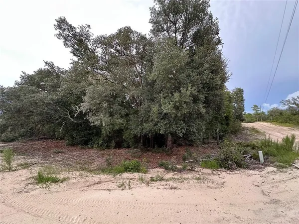 $17,999 | Northeast 85th Street, Bronson, FL 32621