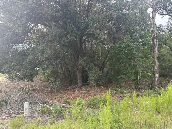 $17,999 | Northeast 85th Street, Bronson, FL 32621