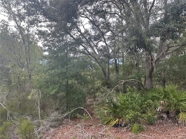 $17,999 | Northeast 85th Street, Bronson, FL 32621