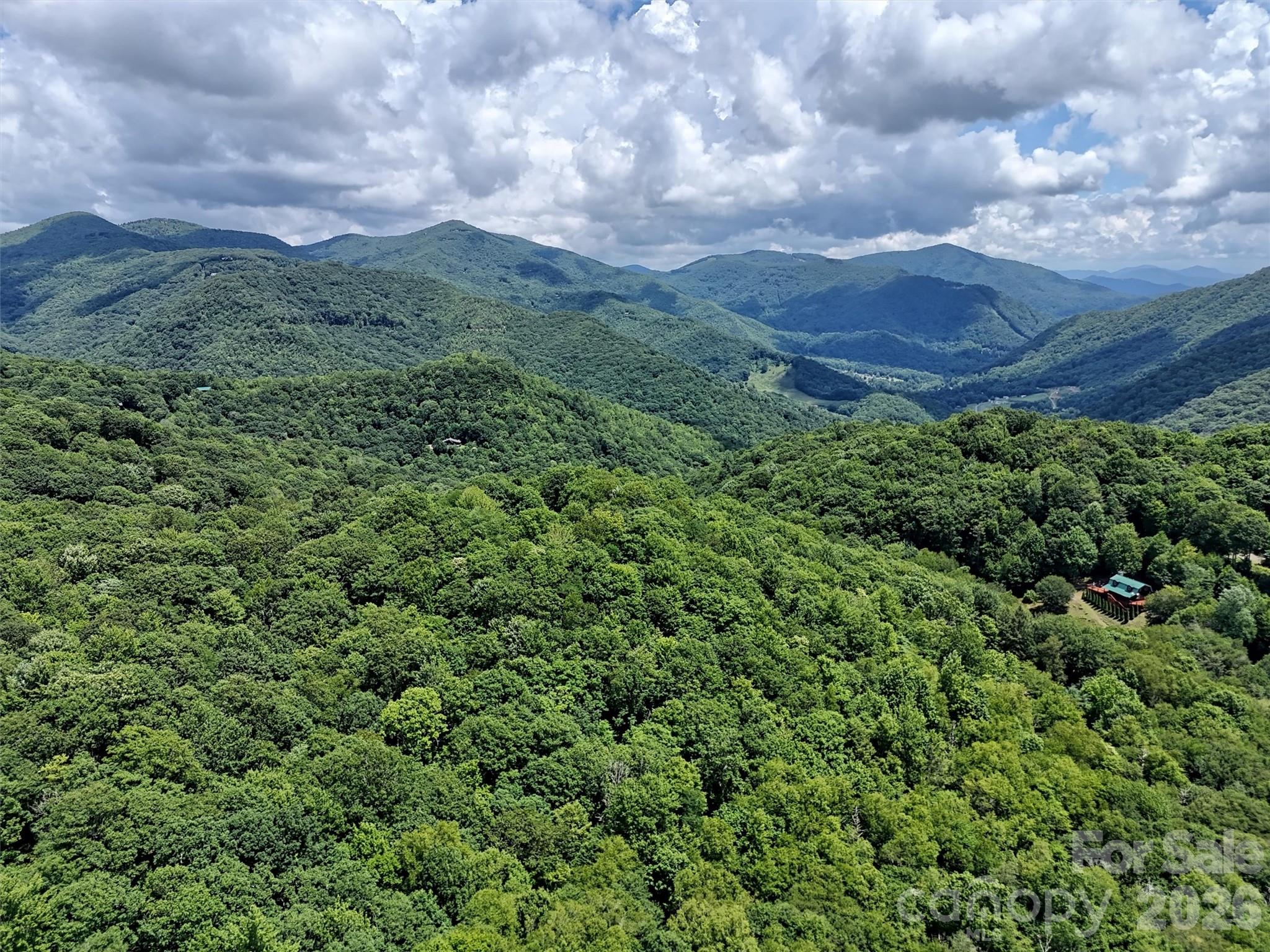 Lot #67 Spring Drive Maggie Valley, NC 28751 - Photo 13 of 13 a view of a city with lush green forest