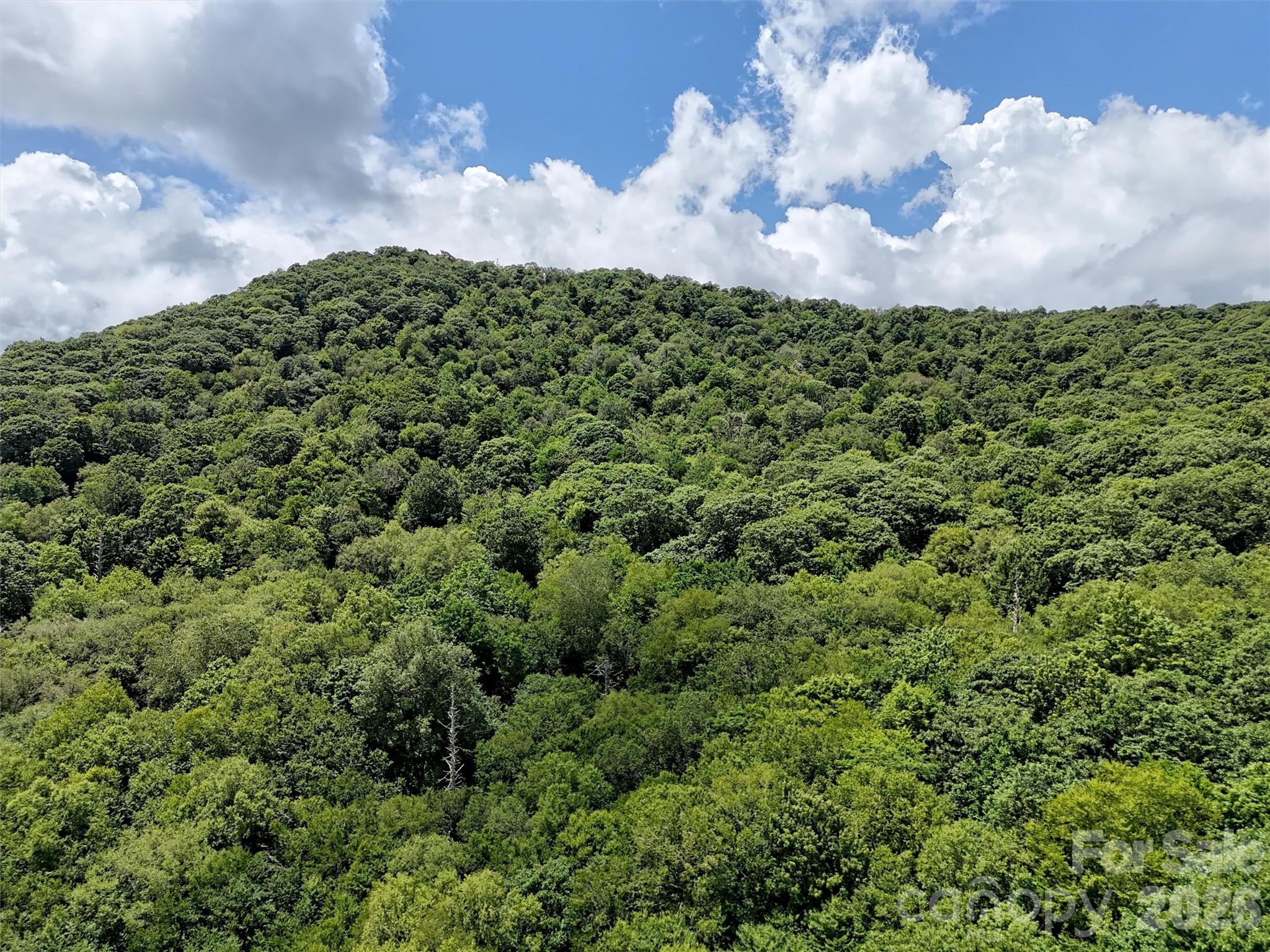 Lot #67 Spring Drive Maggie Valley, NC 28751 - Photo 5 of 13 a view of a bunch of trees and houses
