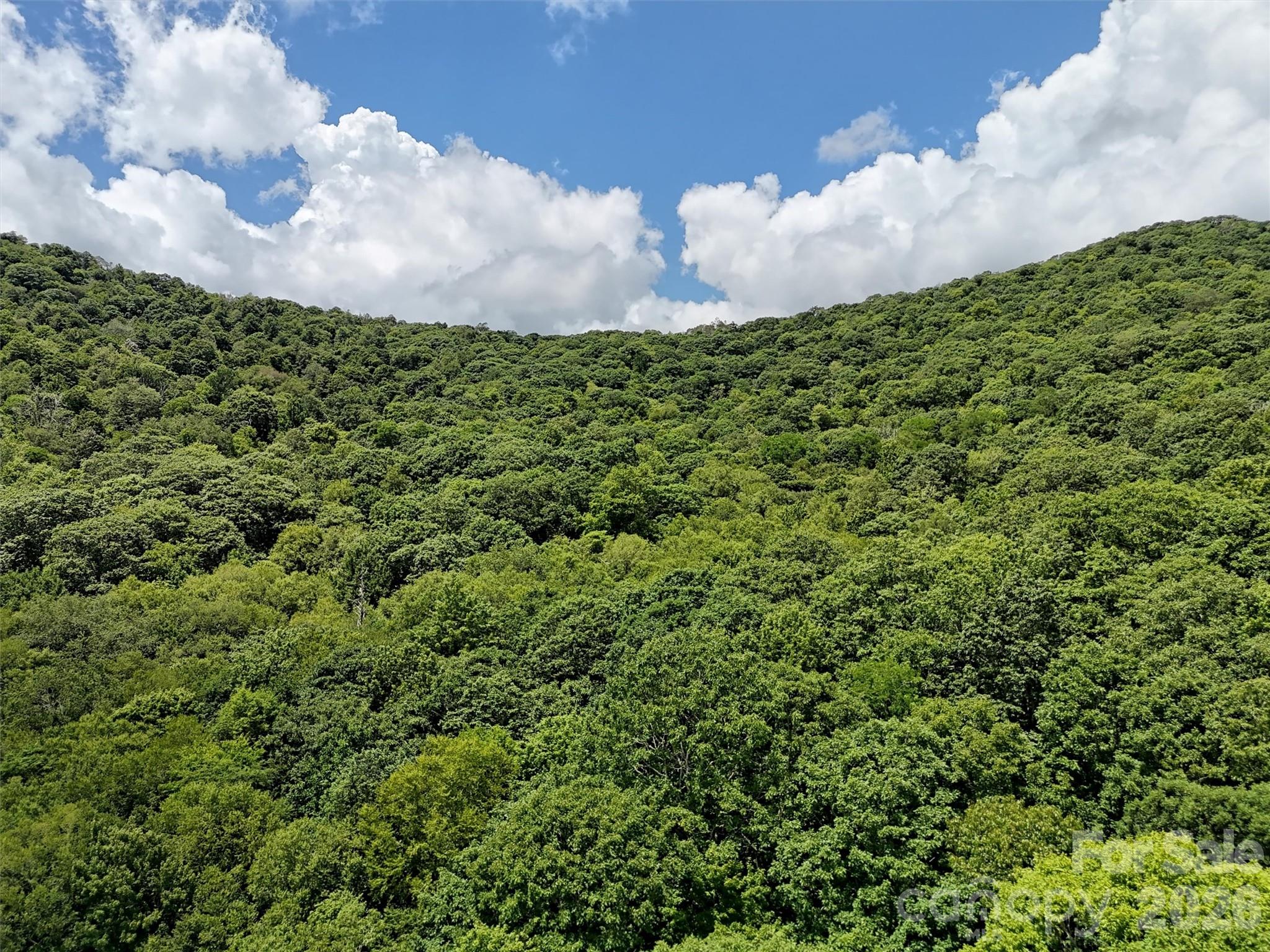 Lot #67 Spring Drive Maggie Valley, NC 28751 - Photo 8 of 13 a view of a bunch of trees and houses