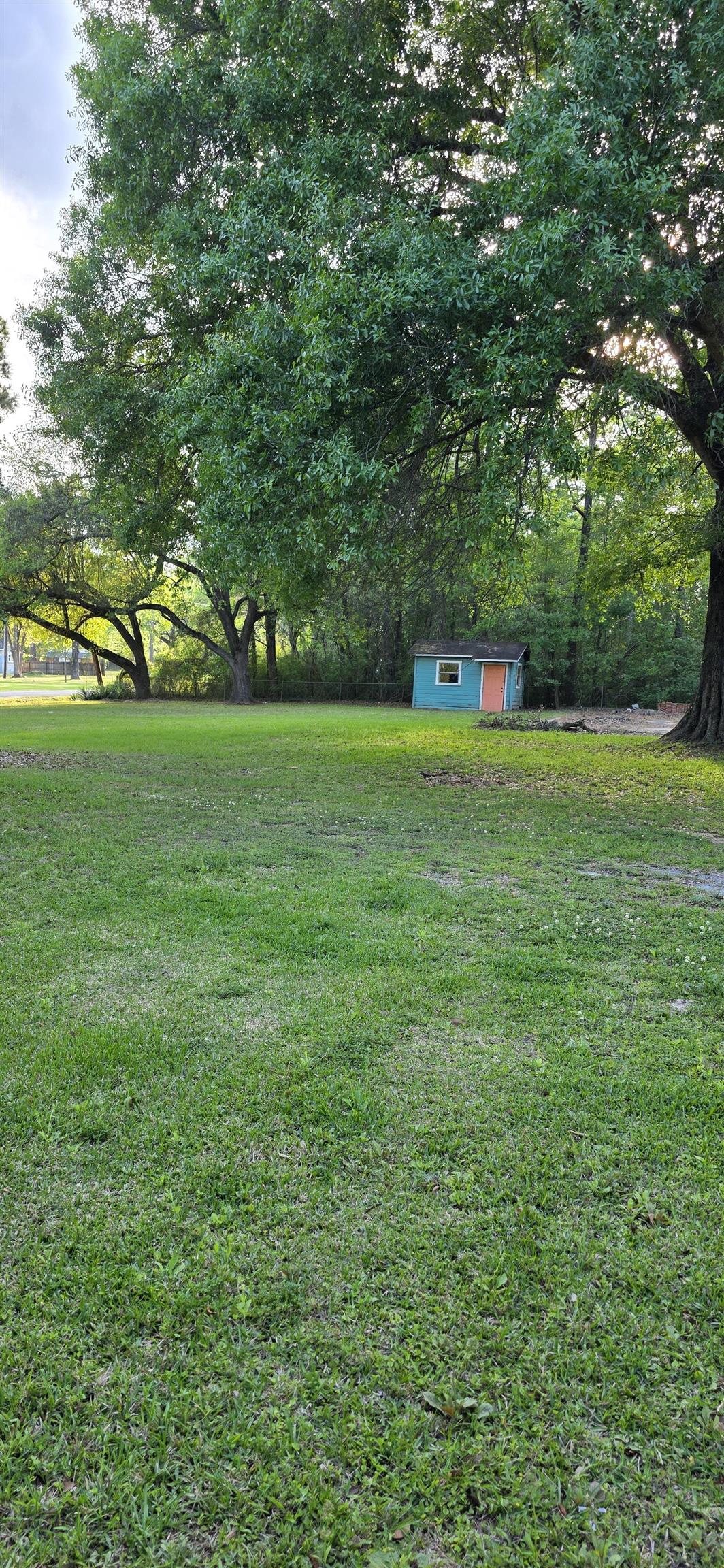 1195 Terry Road Vidor, TX 77662 - Photo 5 of 12