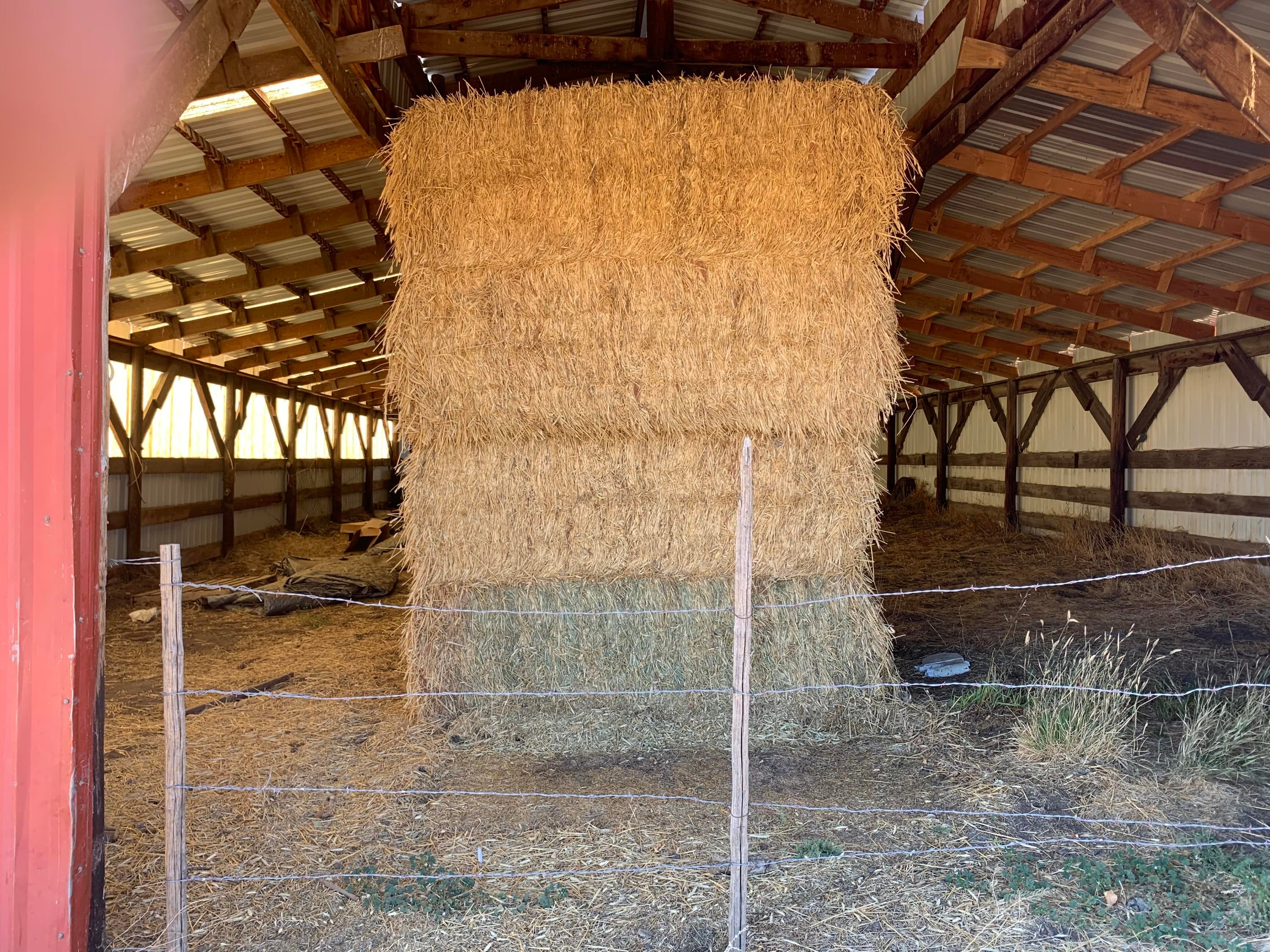 12485 West Side Road Lakeview, OR 97630 - Photo 29 of 48 Livestock Barn