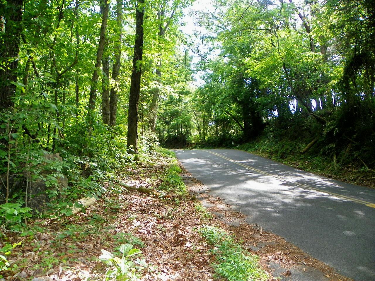 Tracts#1-2 Snapp Road Sevierville, TN 37862 - Photo 2 of 13 100_5425