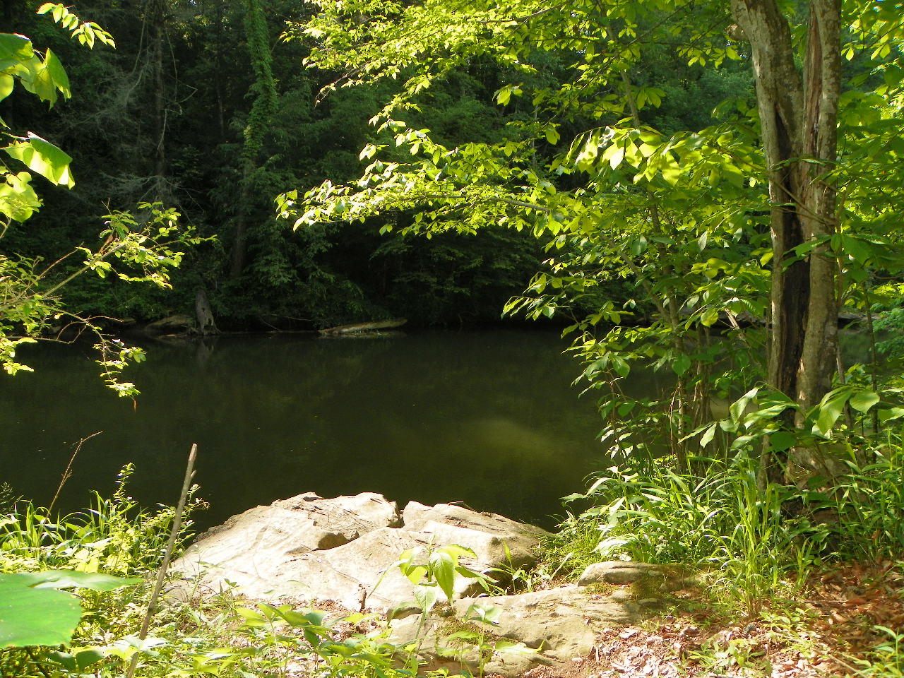 Tracts#1-2 Snapp Road Sevierville, TN 37862 - Photo 12 of 13 100_5440
