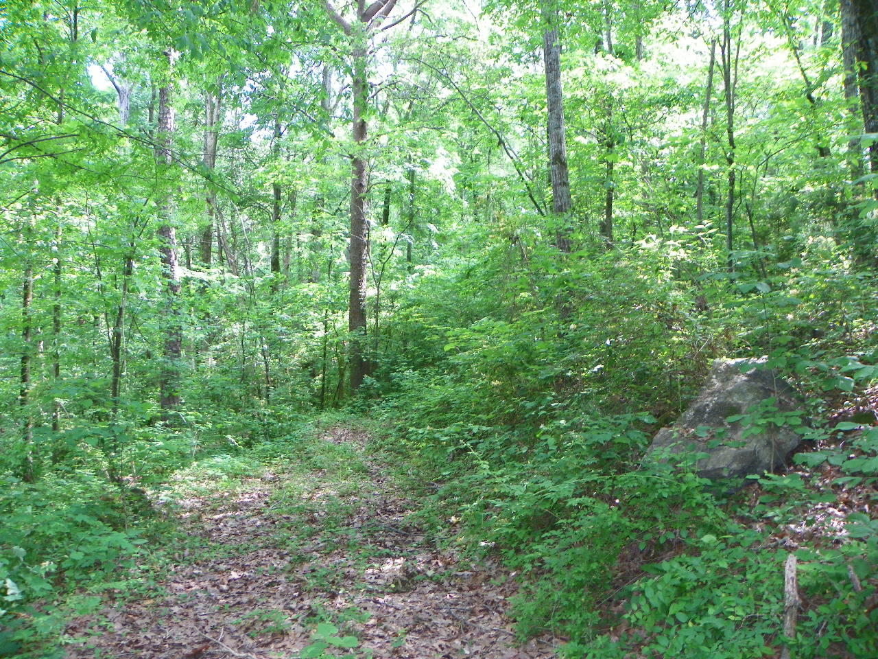 Tracts#1-2 Snapp Road Sevierville, TN 37862 - Photo 5 of 13 100_5433