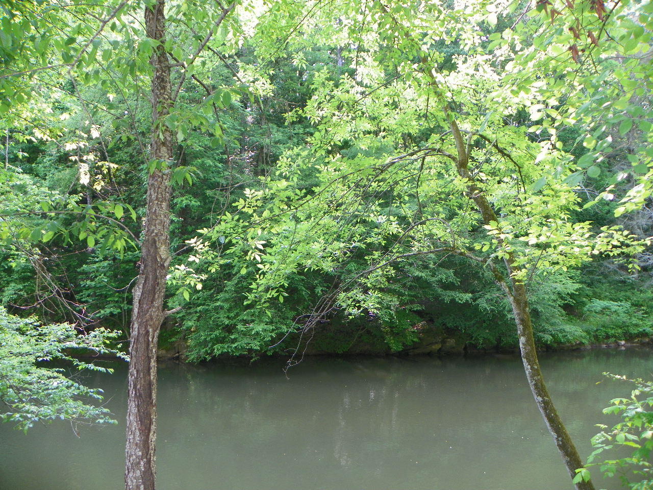 Tracts#1-2 Snapp Road Sevierville, TN 37862 - Photo 10 of 13 100_5438