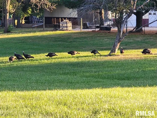 $329,000 | 2538 Loami Road, Jacksonville, IL 62650