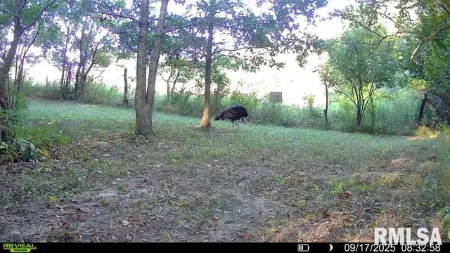 $329,000 | 2538 Loami Road, Jacksonville, IL 62650