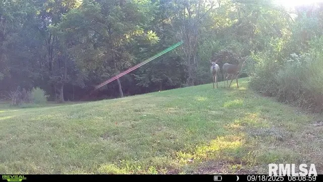 $329,000 | 2538 Loami Road, Jacksonville, IL 62650