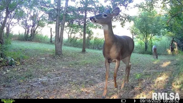 $329,000 | 2538 Loami Road, Jacksonville, IL 62650