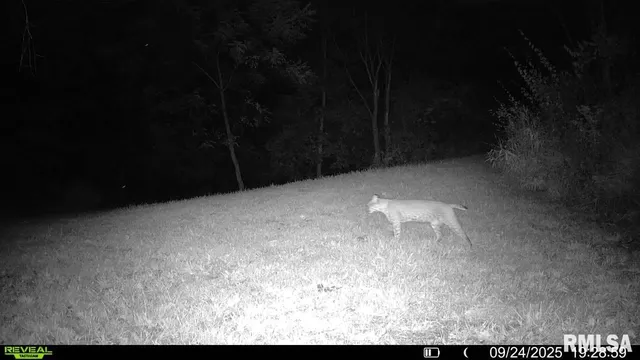 $329,000 | 2538 Loami Road, Jacksonville, IL 62650