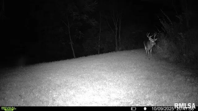 $329,000 | 2538 Loami Road, Jacksonville, IL 62650