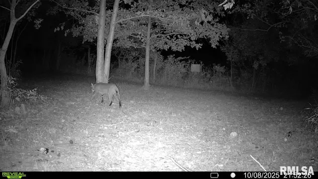 $329,000 | 2538 Loami Road, Jacksonville, IL 62650