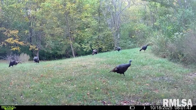 $329,000 | 2538 Loami Road, Jacksonville, IL 62650