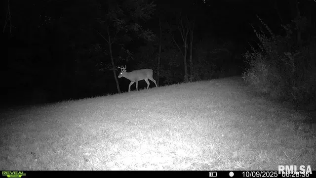 $329,000 | 2538 Loami Road, Jacksonville, IL 62650