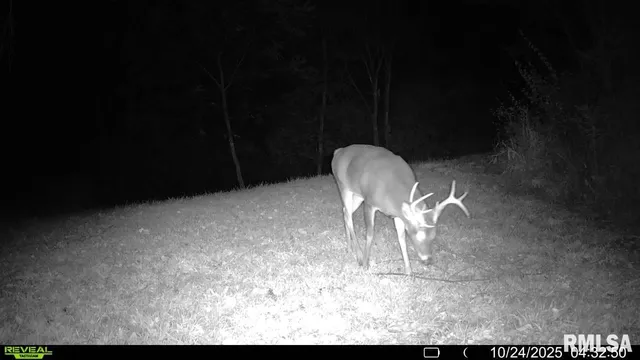 $329,000 | 2538 Loami Road, Jacksonville, IL 62650