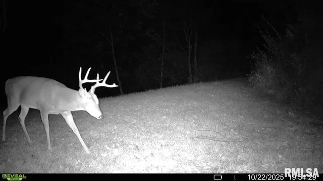 $329,000 | 2538 Loami Road, Jacksonville, IL 62650