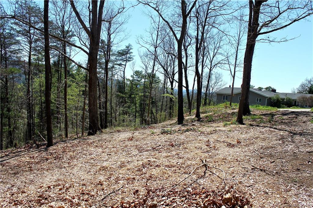 9999 Beaverbrook Road Asheville, NC 28804 - Photo 1 of 5 Gallery Image 1