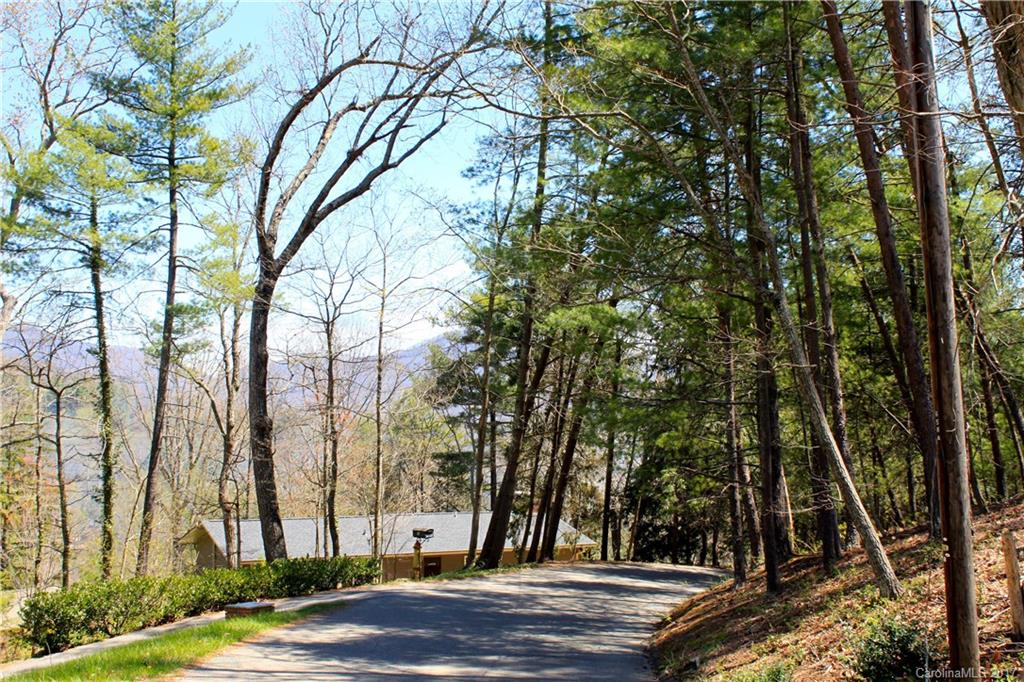 9999 Beaverbrook Road Asheville, NC 28804 - Photo 3 of 5 Gallery Image 3